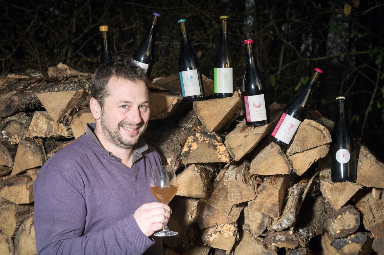 Vins Vigneron Raphael Monnier - Ratapoil RataPoil-0002